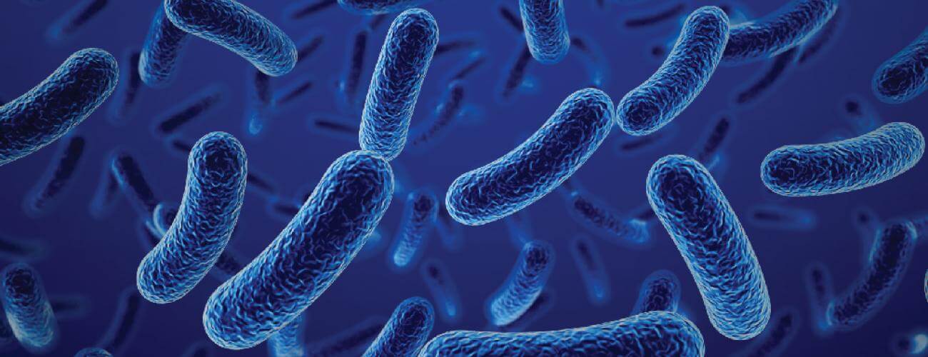 probiotic bacteria graphic